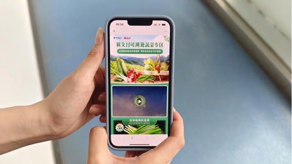 jackpot(中国区)官方网站