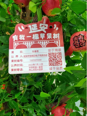 jackpot(中国区)官方网站