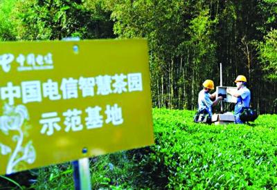 jackpot(中国区)官方网站