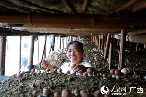jackpot(中国区)官方网站