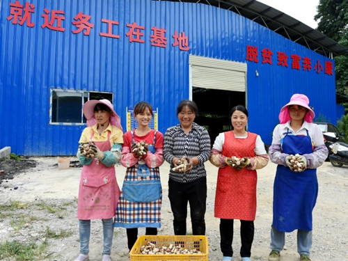 W020210816557388212203 jackpot(中国区)官方网站