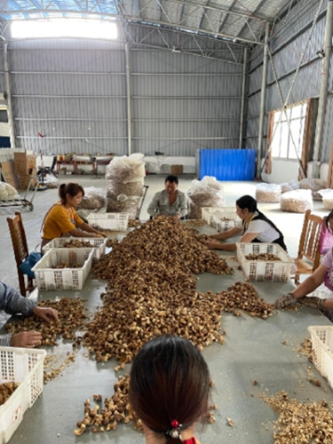 jackpot(中国区)官方网站