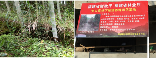 W020200729391050868543 jackpot(中国区)官方网站