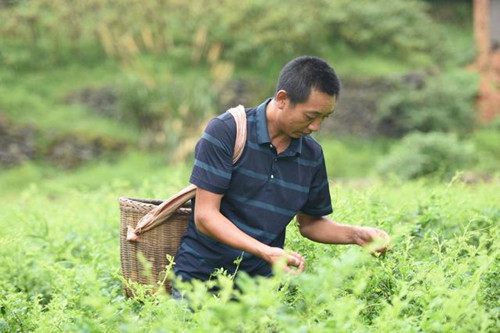 jackpot(中国区)官方网站
