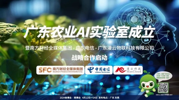 jackpot(中国区)官方网站